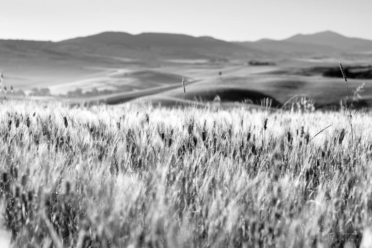 Ogni foto per me deve essere potenzialmente stampabile. Il web è una vetrina molto importante, che deve stimolare l'amore per la fotografia e il desiderio di qualcosa di concreto, vero, come una stampa da appendere o da far vedere in una collezione